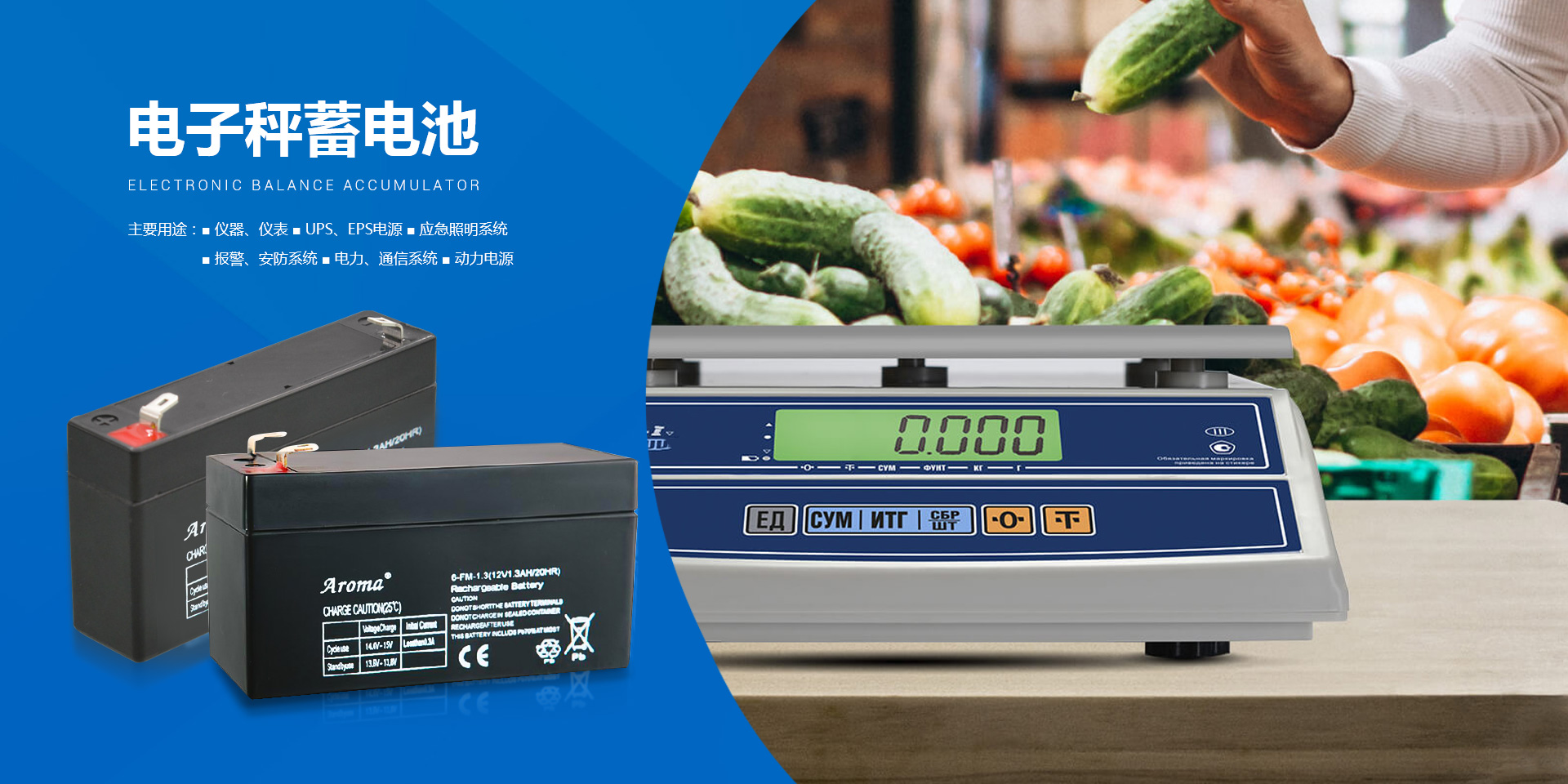 平湖華龍實業(yè)股份